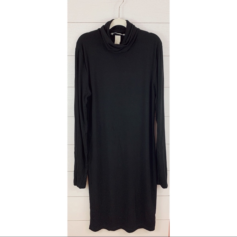 H&M Turtleneck Dress